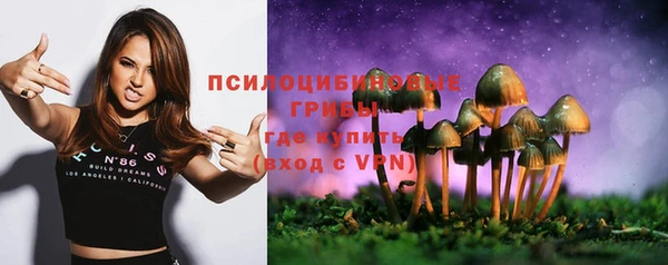 стаф Гусев