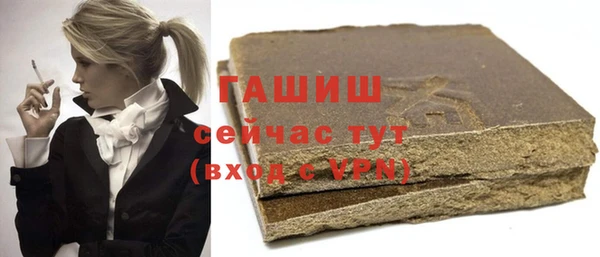 стаф Гусев