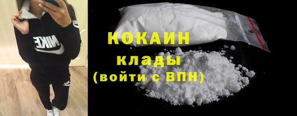 стаф Гусев