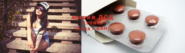 стаф Гусев
