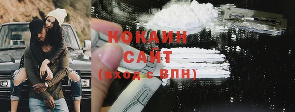 стаф Гусев
