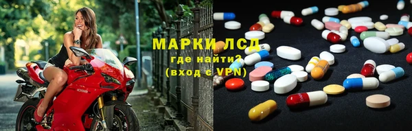 стаф Гусев