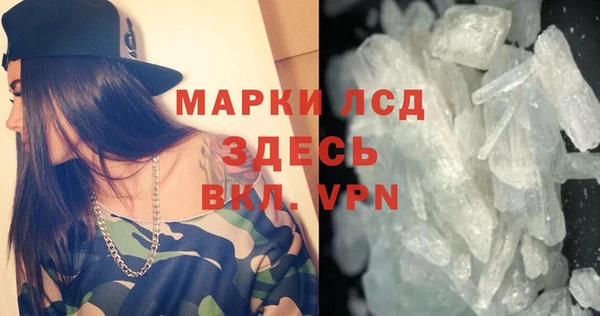 стаф Гусев