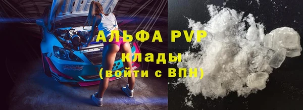 стаф Гусев