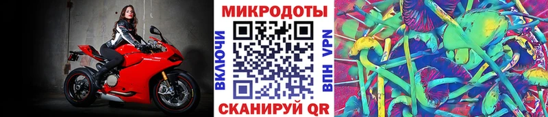 Псилоцибиновые грибы Cubensis  Купить закладки  Тарко-Сале 